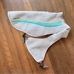 Ruffwear swamp cooler dog vest